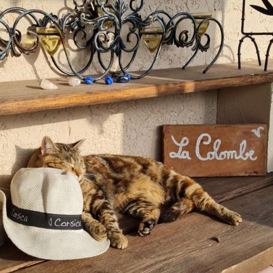 La Colombe Bed & Breakfast Tourrettes Bagian luar foto