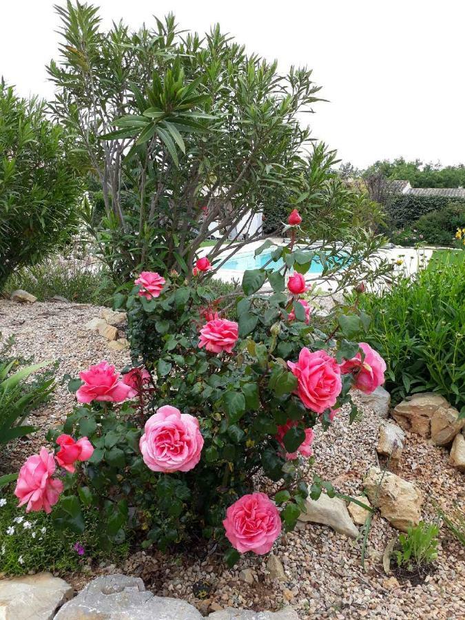 La Colombe Bed & Breakfast Tourrettes Bagian luar foto